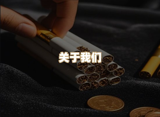 关于云歌烟网